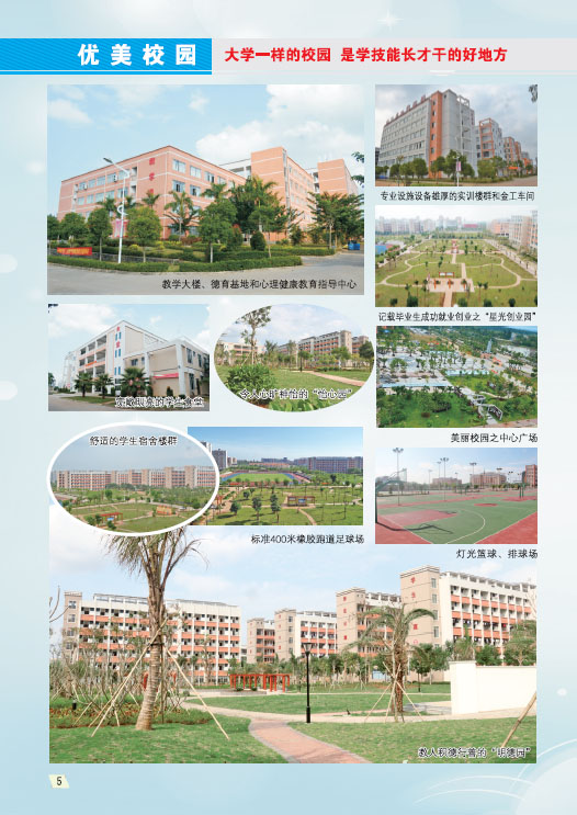 开云(中国)2019招生简章6